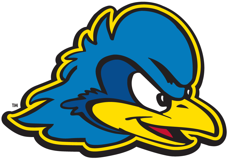 Delaware Blue Hens 2009-Pres Secondary Logo v2 iron on transfers for fabric...